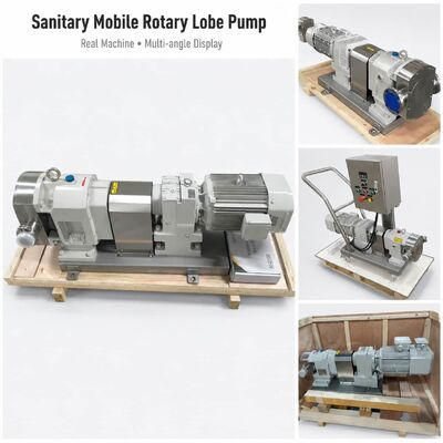 SUS304 316L Stainless Steel High Viscosity Rotor Pump Mobile Cream Paste Transfer